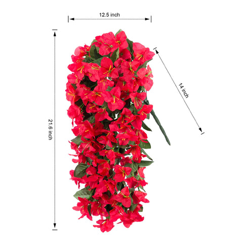 INSPRING red bougainvillea trailing vine for balcony or patio decor