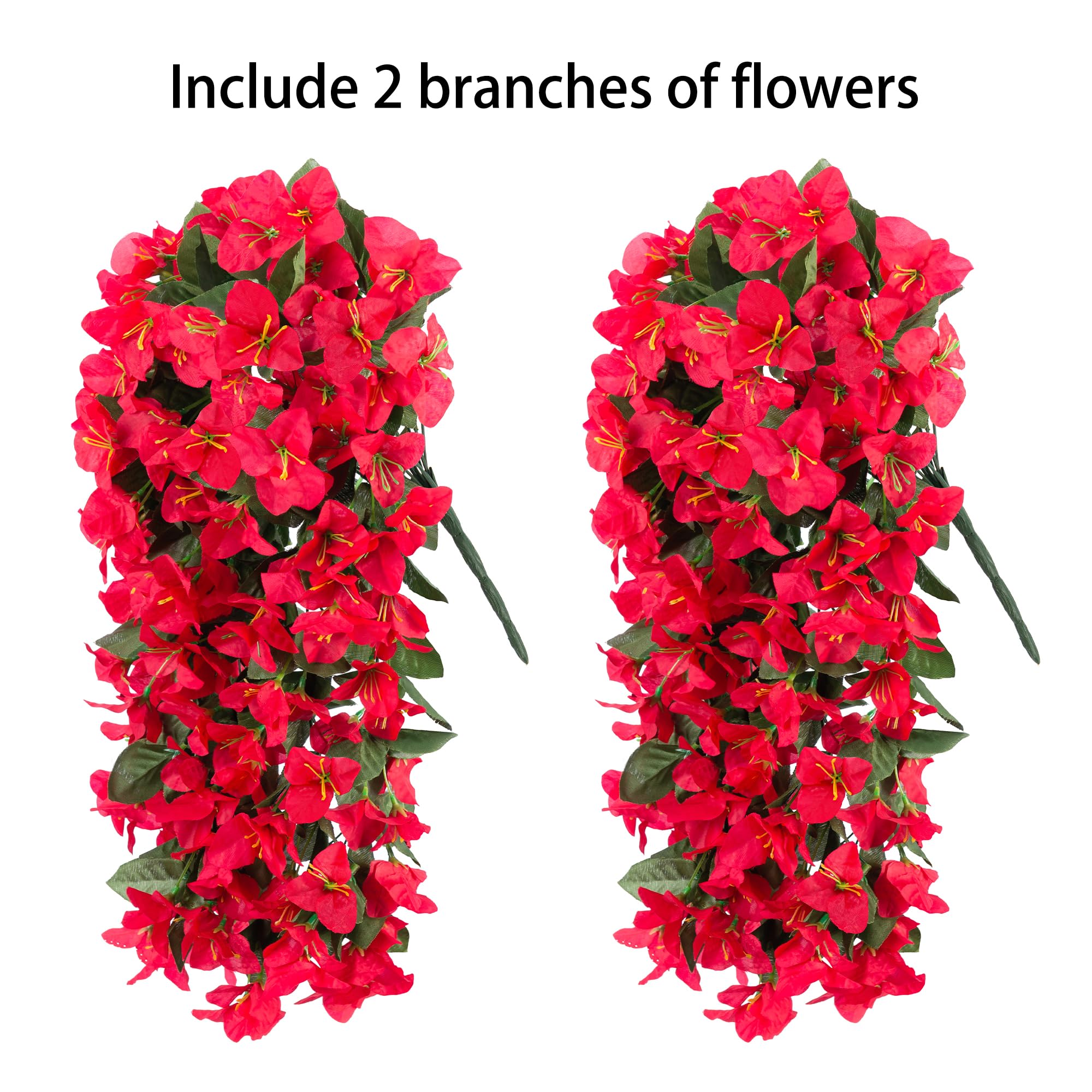 INSPRING bougainvillea trailing vine near urn arrangement for garden entry