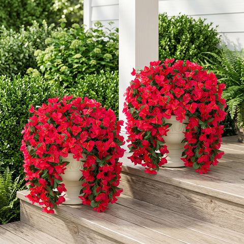 INSPRING red bougainvillea trailing vine in outdoor pathway planters