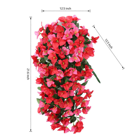 INSPRING UV-resistant bougainvillea vines endure sun for all-season display