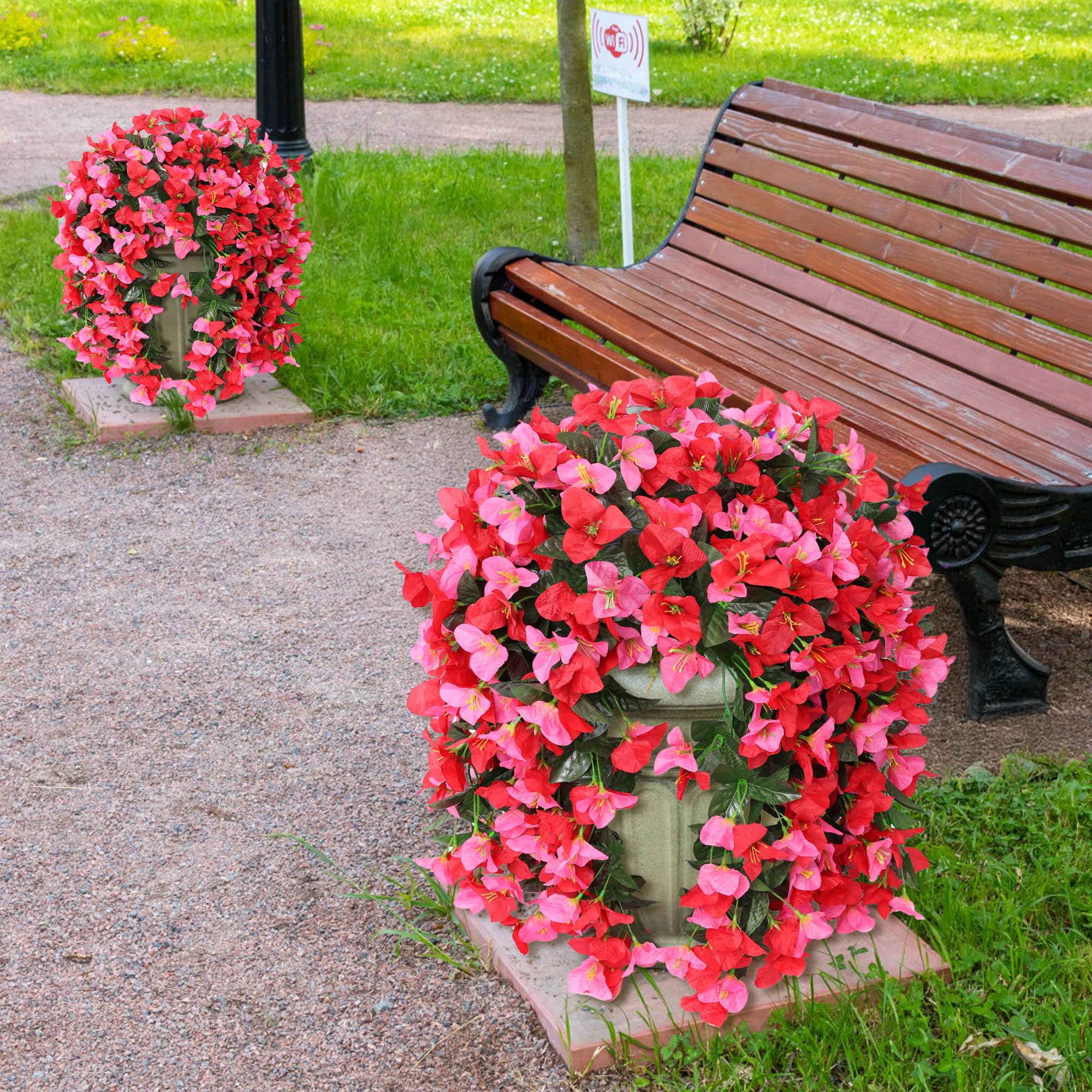 INSPRING outdoor bougainvillea vines brighten a sunny patio scene
