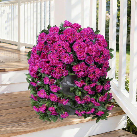 INSPRING geraniums long trailing vines for outdoor railings and fences.
