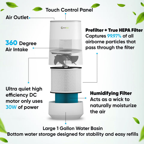 InvisiClean AquaNova humidifier nozzle releasing a gentle mist