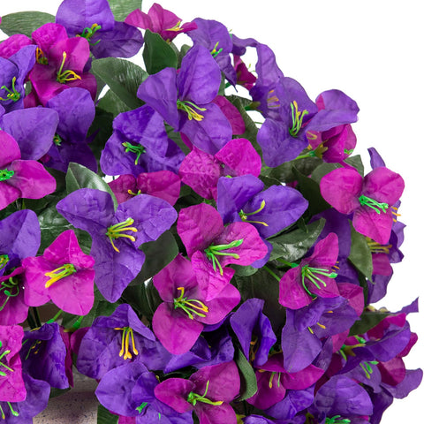 INXUGAO bougainvillea trailing vines for garden borders with evergreen appeal.