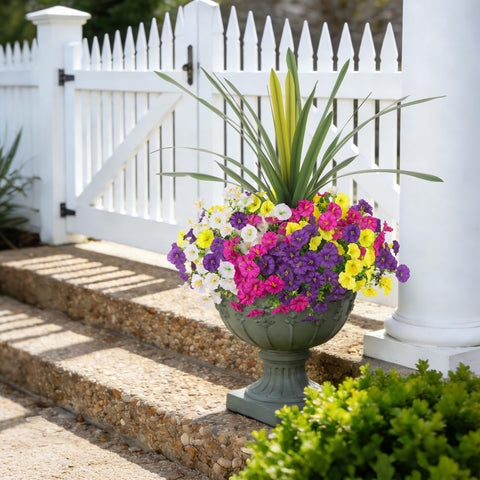 INXUGAO color mix outdoor flowers brightening patios and balconies