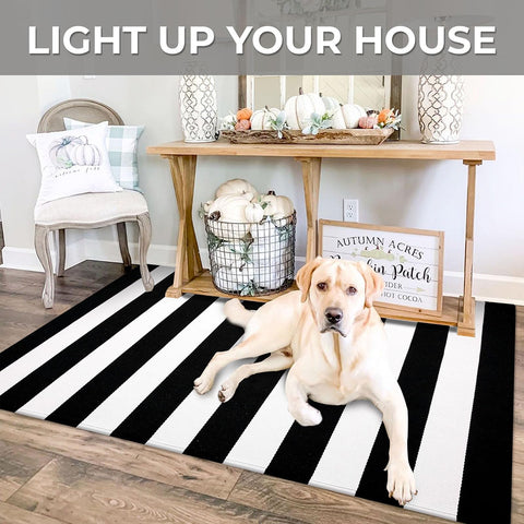 iohouze outdoor indoor use demonstrates versatile entryway mat.