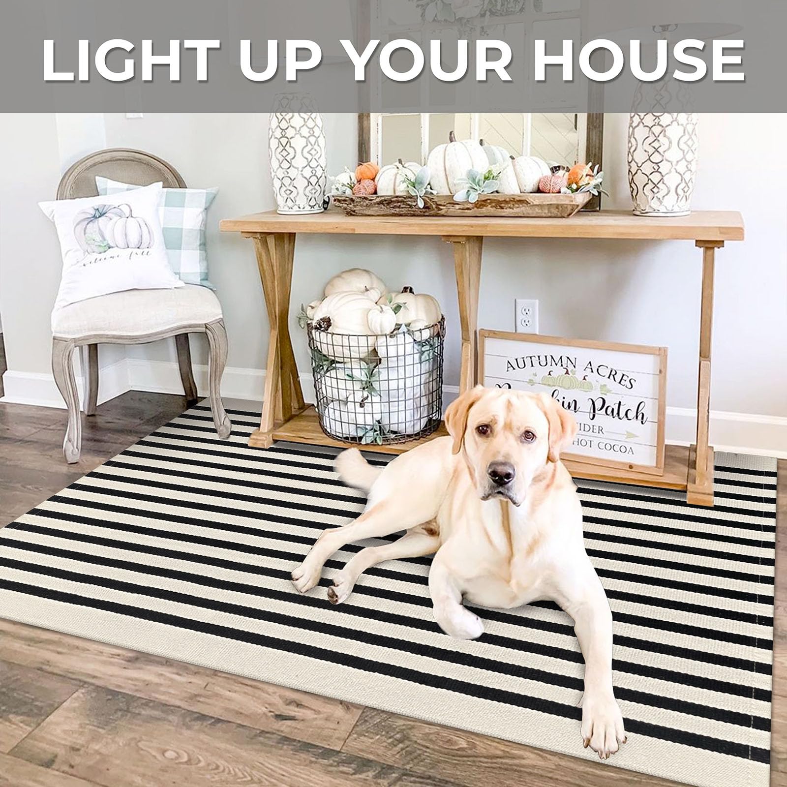 IOHOUZE porch rug enhances curb appeal while staying easy to clean