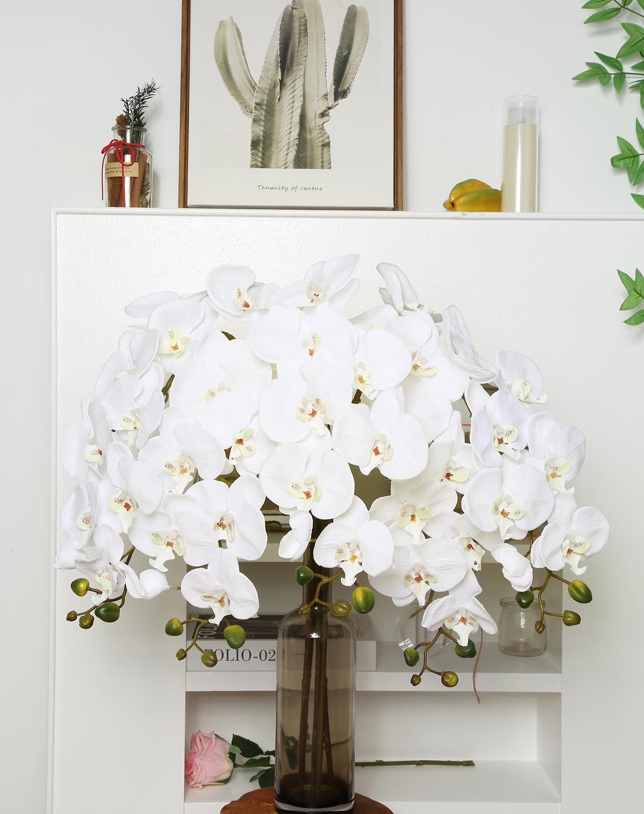 IPOPU maintenance-free orchids require minimal care