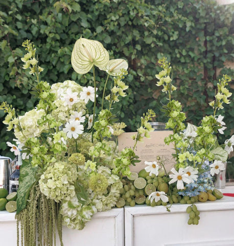 IPOPU Maintenance-free delphinium ideal for wedding centerpieces