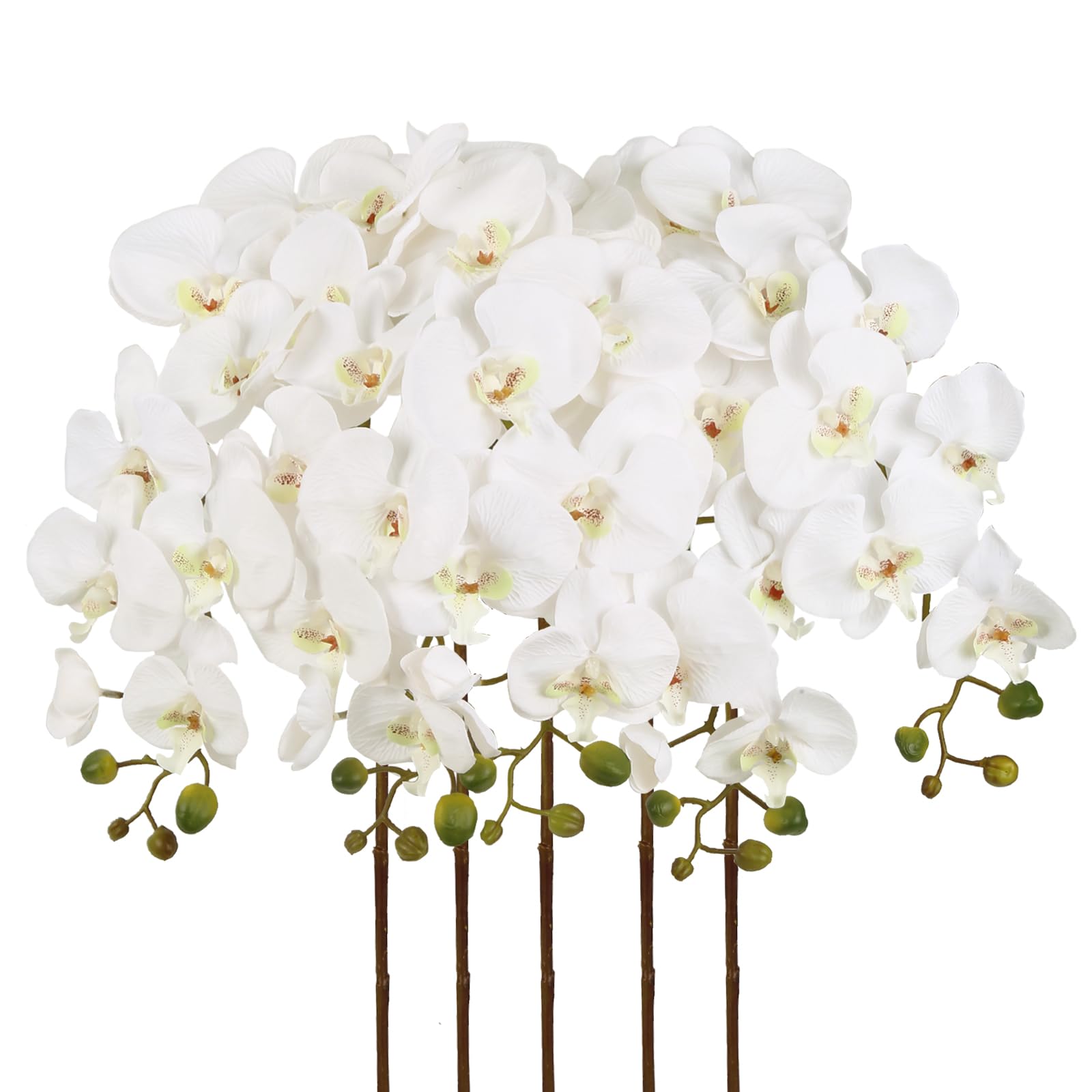 IPOPU white orchid 40-inch stems ready for elegant vase display