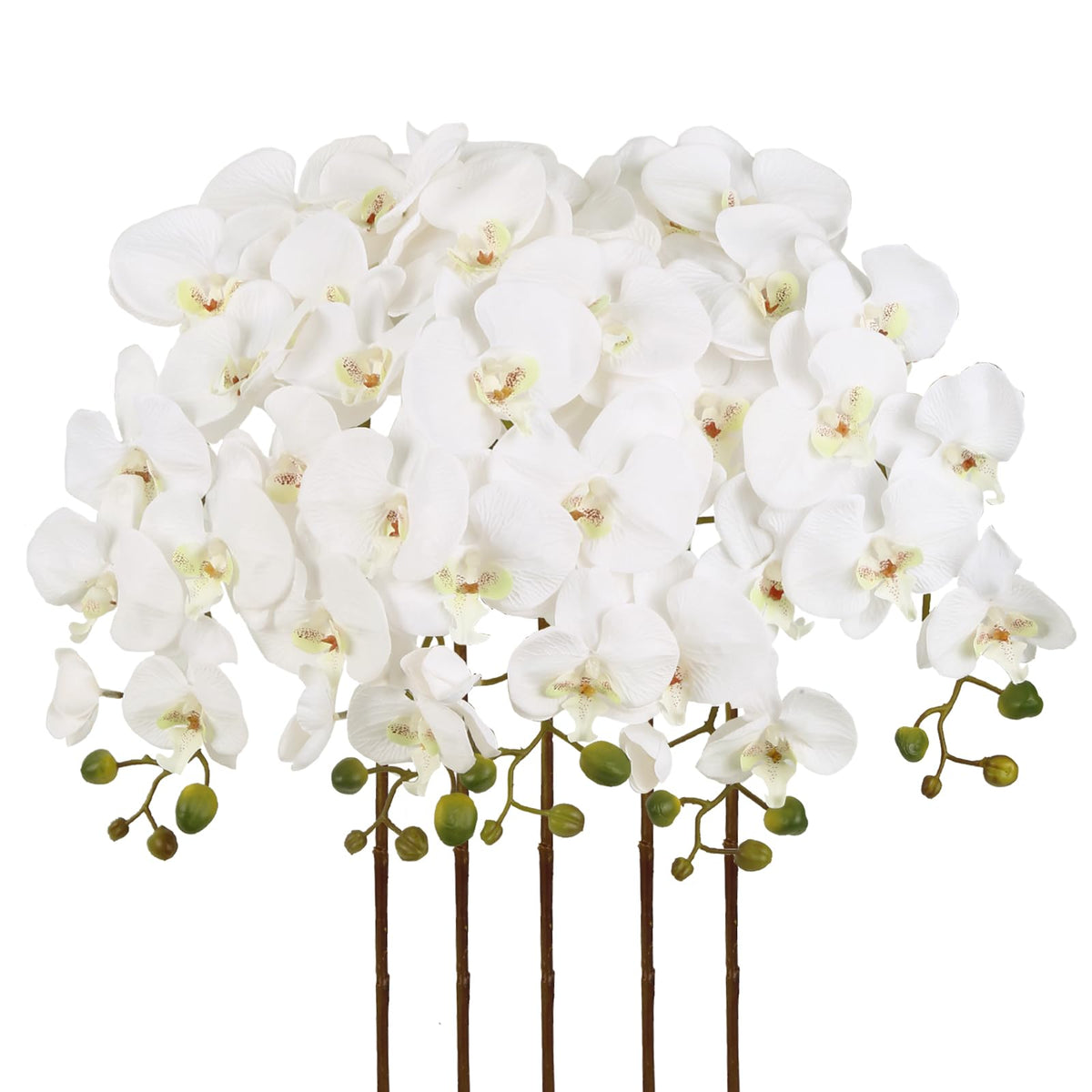 IPOPU white orchid 40-inch stems ready for elegant vase display