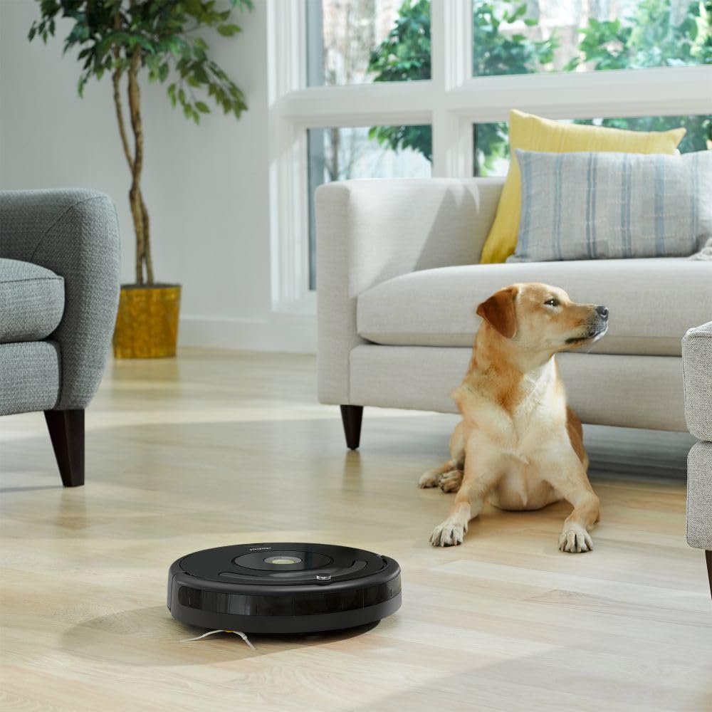 iRobot AeroVac filters for Roomba 600 series capture fine dust.