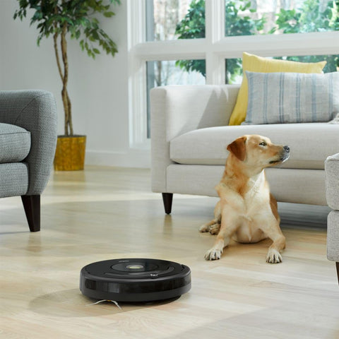 iRobot AeroVac filters for Roomba 600 series capture fine dust.