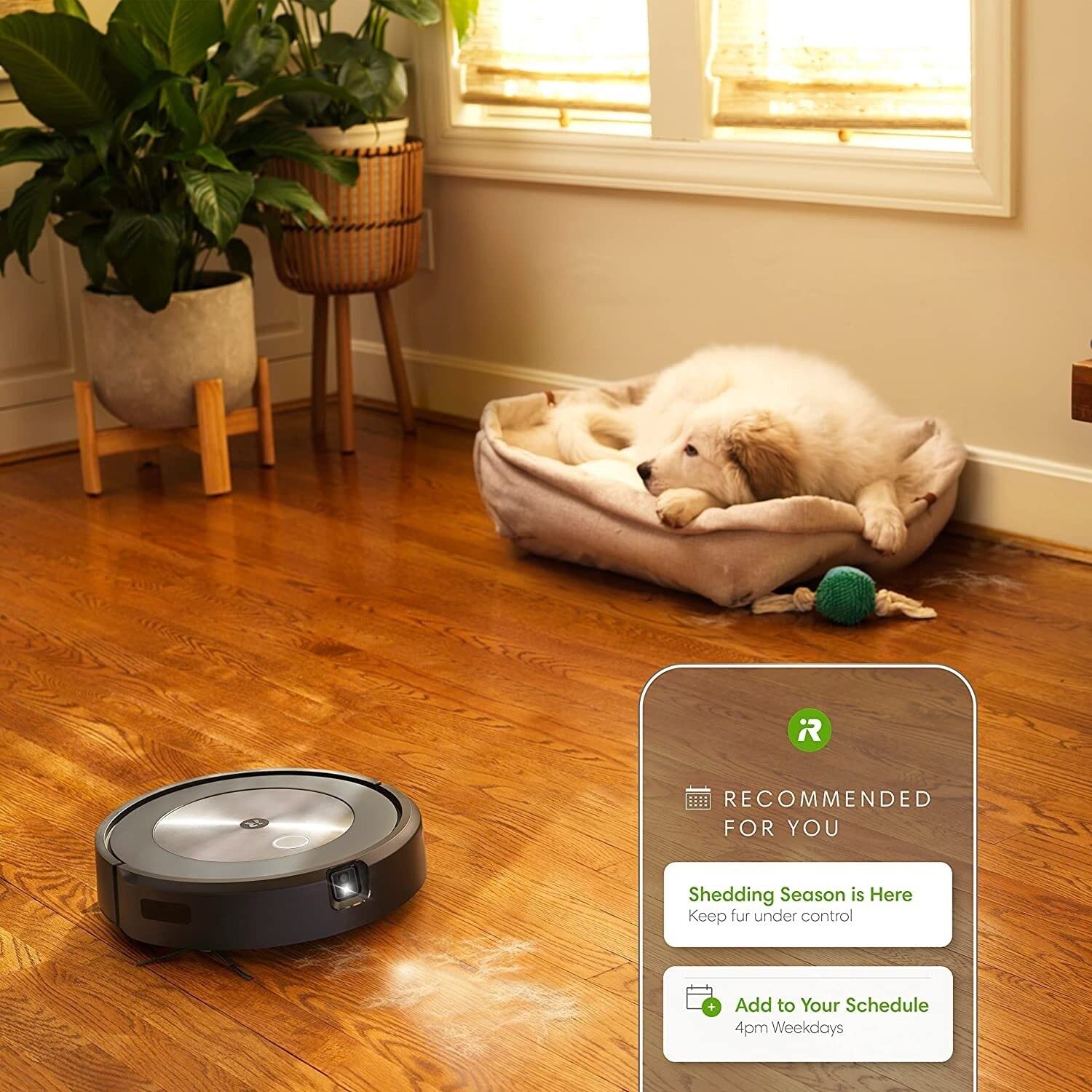 iRobot Roomba j7+ dual multi‑surface rubber brushes adapt to floor types.