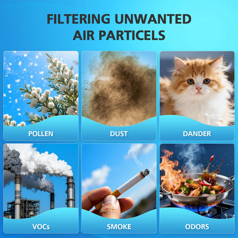 iSingo carbon filter helps manage pet odors and cooking smells