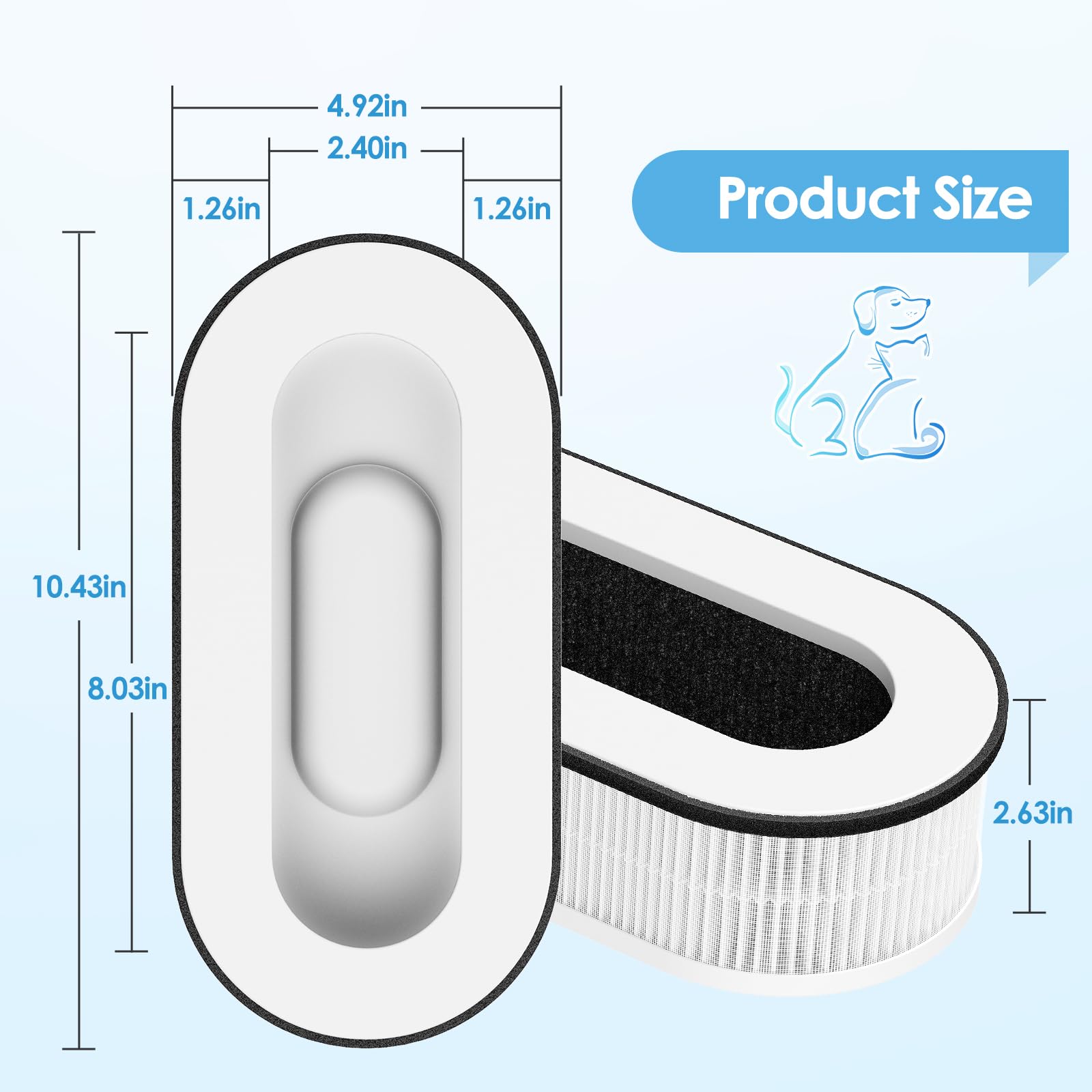iSingo RP-AP068 2-pack box shows value and convenience
