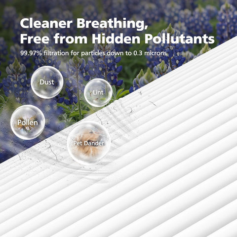 iSingo Air Mini filter design highlighting carbon layer and frame support