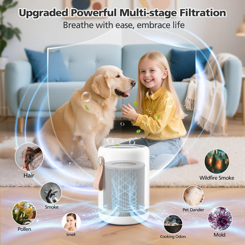iSingo Air Mini capturing dust, pollen and pet dander