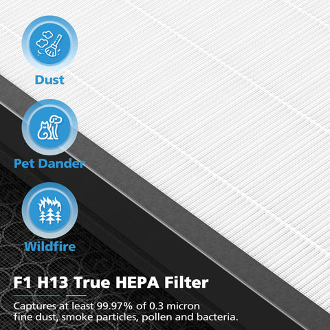 iSingo F1 filter covers spaces up to 2200 sq ft for larger rooms