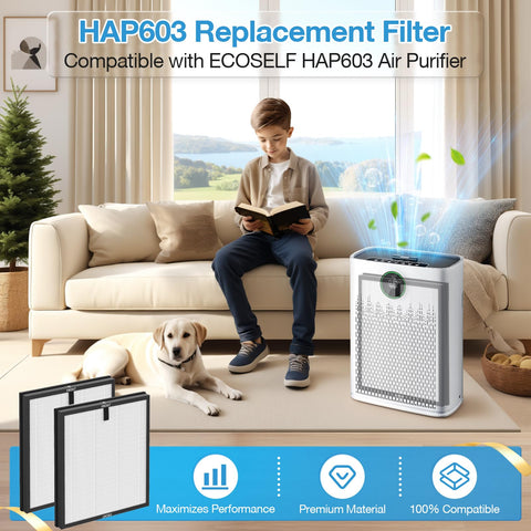 iSingo HAP603 two-pack back view shows convenient replacement packaging.