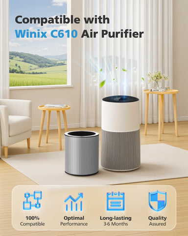 iSingo HEPA activated carbon pre-filter combo enhances odor control in living spaces.
