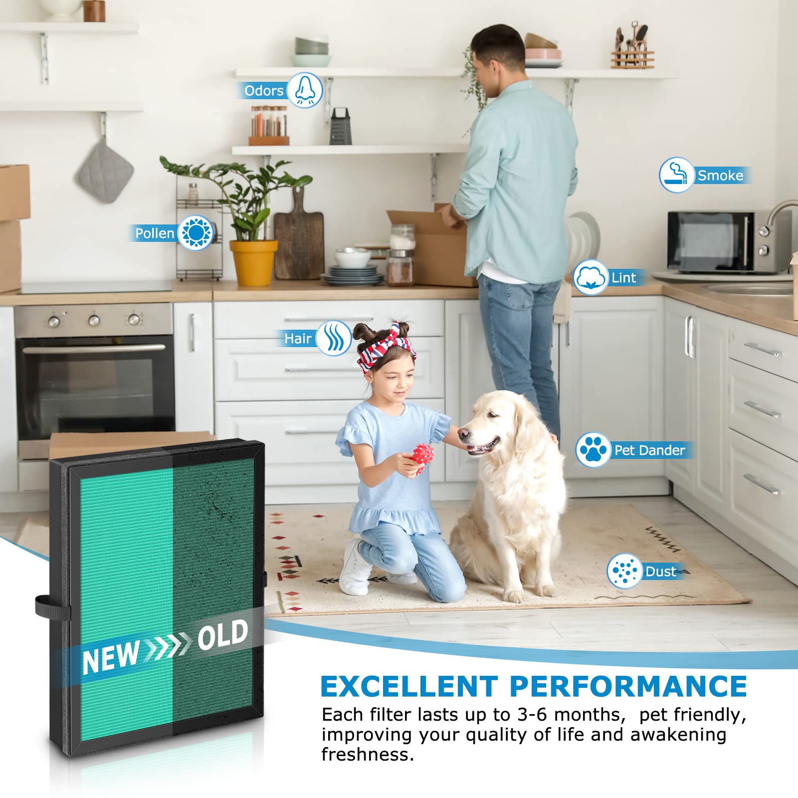 Ideal for homes with pets, cooking, and daily living.