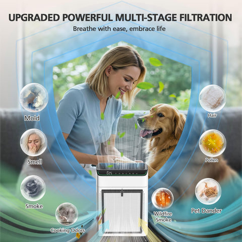 iSingo MR5866 filter two-pack ready for replacement and value