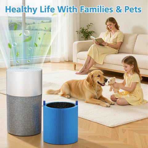 iSingo filter against pet dander and dust in daily use