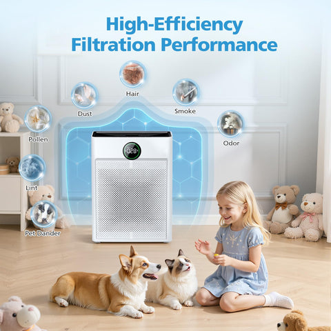 iSingo PR1 washable pre-filter extends filter life.