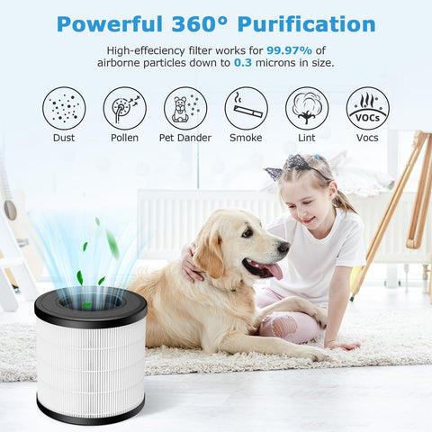 Lifestyle scene with purifier and replacement filter ready for use