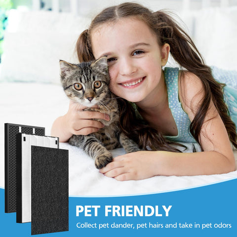 iSingo two-pack carbon filter 2677 targets odors and VOCs