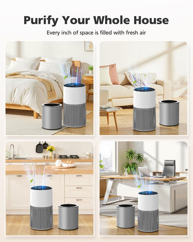 iSingo C610 replacement filter Z supports continuous filtration at home.