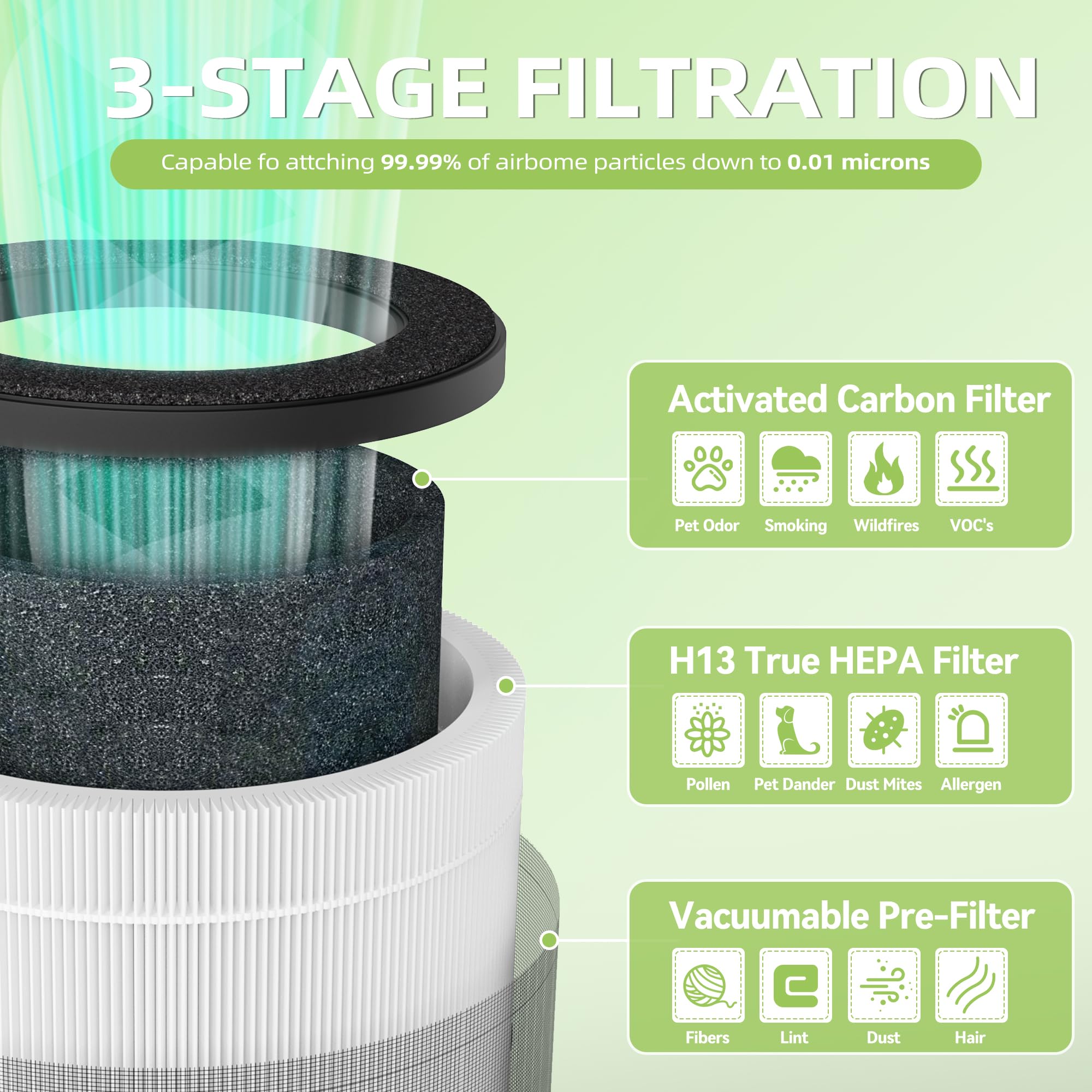 Isingoione Airmega 50 3-in-1 filter assembly close-up for easy understanding