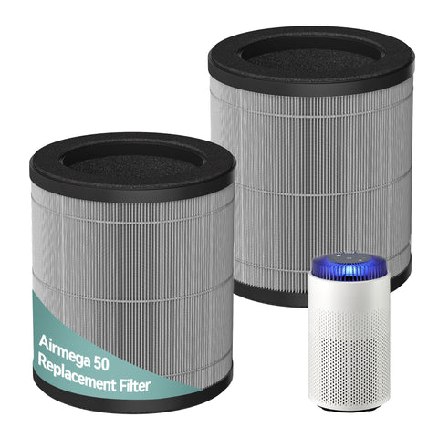 Isingoione Airmega 50 filter pack front view for easy replacement