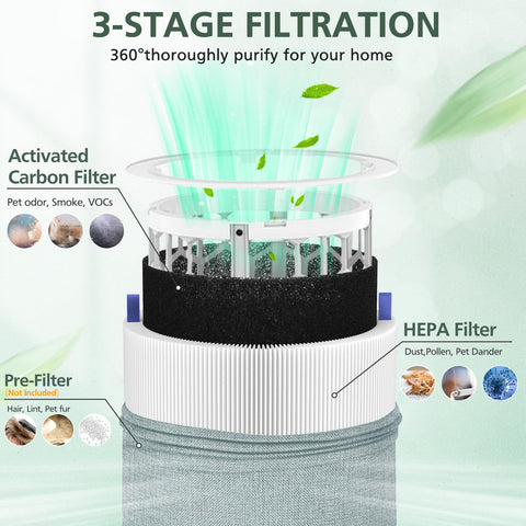ISINLIVE 311i+ Max filter carbon layer highlighting odor-absorbing performance.