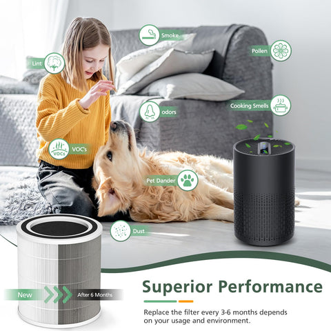 Isinlive AC400 activated carbon filter helps reduce odors in rooms