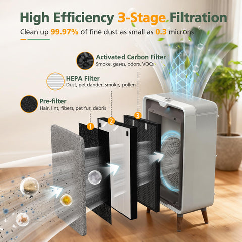 isinlive 2677 Activated carbon filter targets odors for fresher spaces