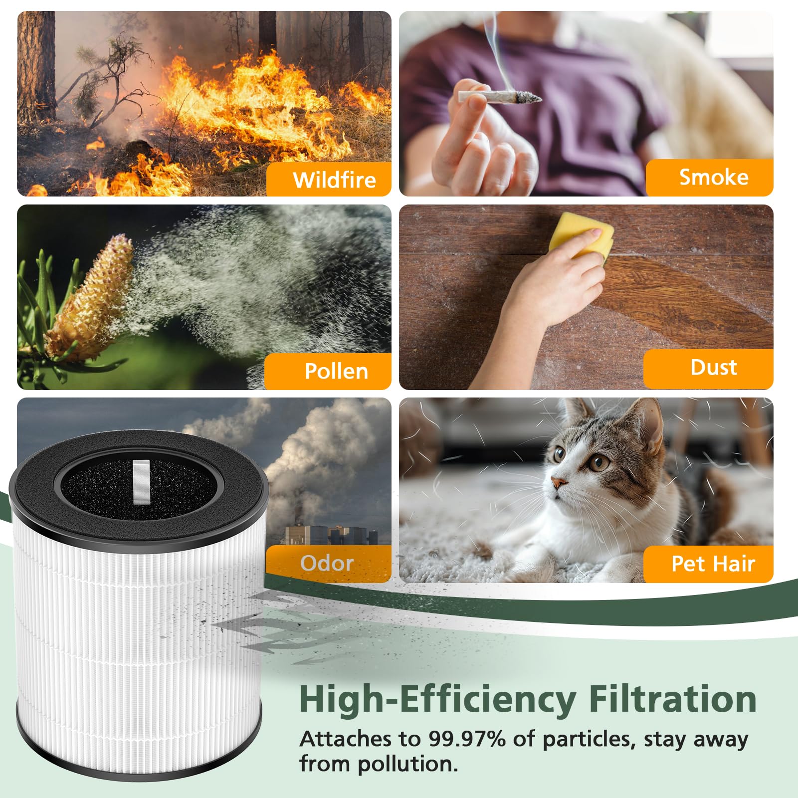isinlive B-D02L filter FSC-certified paper supports sustainable packaging.