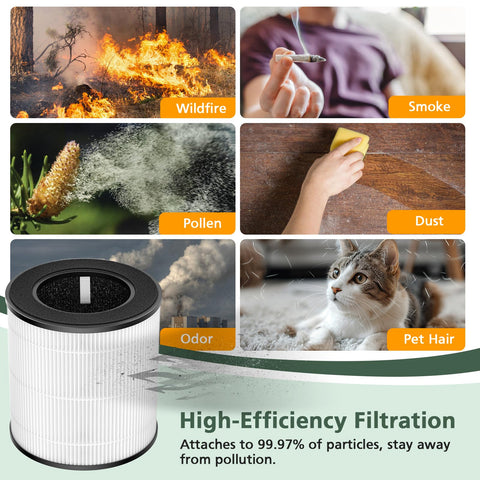 isinlive B-D02L filter FSC-certified paper supports sustainable packaging.