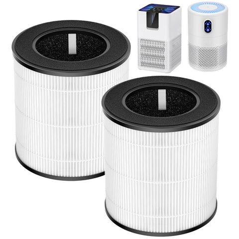 isinlive B-D02L filter 2-pack packaging highlights easy replacement and value.