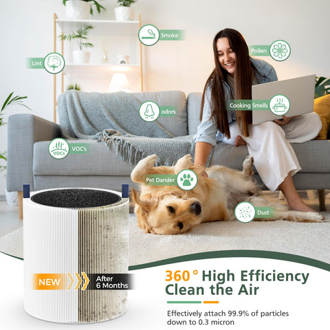 isinlive Blue Pure 511 replacement filter set includes two filters.