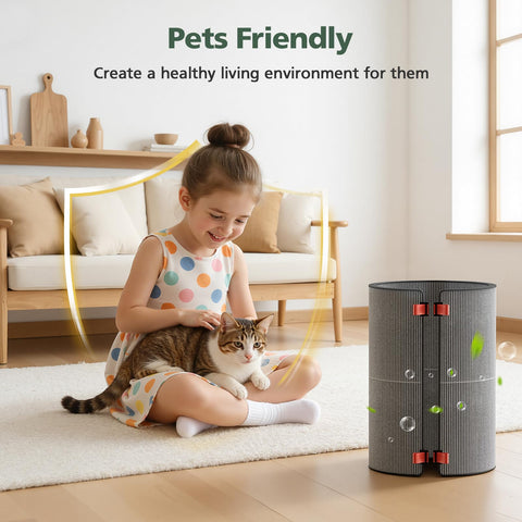 isinlive BP03 BP04 BP06 filter captures dust and odors for cleaner air