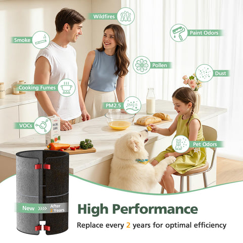isinlive BP03 BP04 BP06 activated carbon targets VOCs and cooking fumes