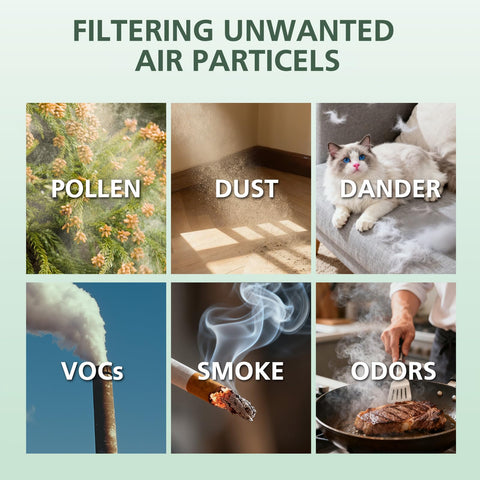Isinlive purifier accessory for easier maintenance.