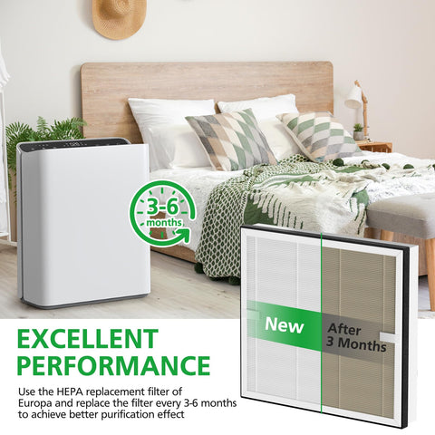 isinlive Europa filter activated-carbon layer neutralizes odors in rooms
