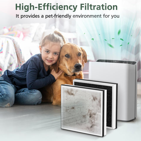 isinlive Europa filter targets pet dander, dust and pollen for cleaner air
