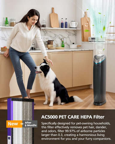 isinlive FLT5250PT purple design complements modern purifiers.
