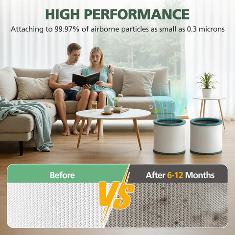 isinlive FSC-certified paper filter supports sustainable product choices