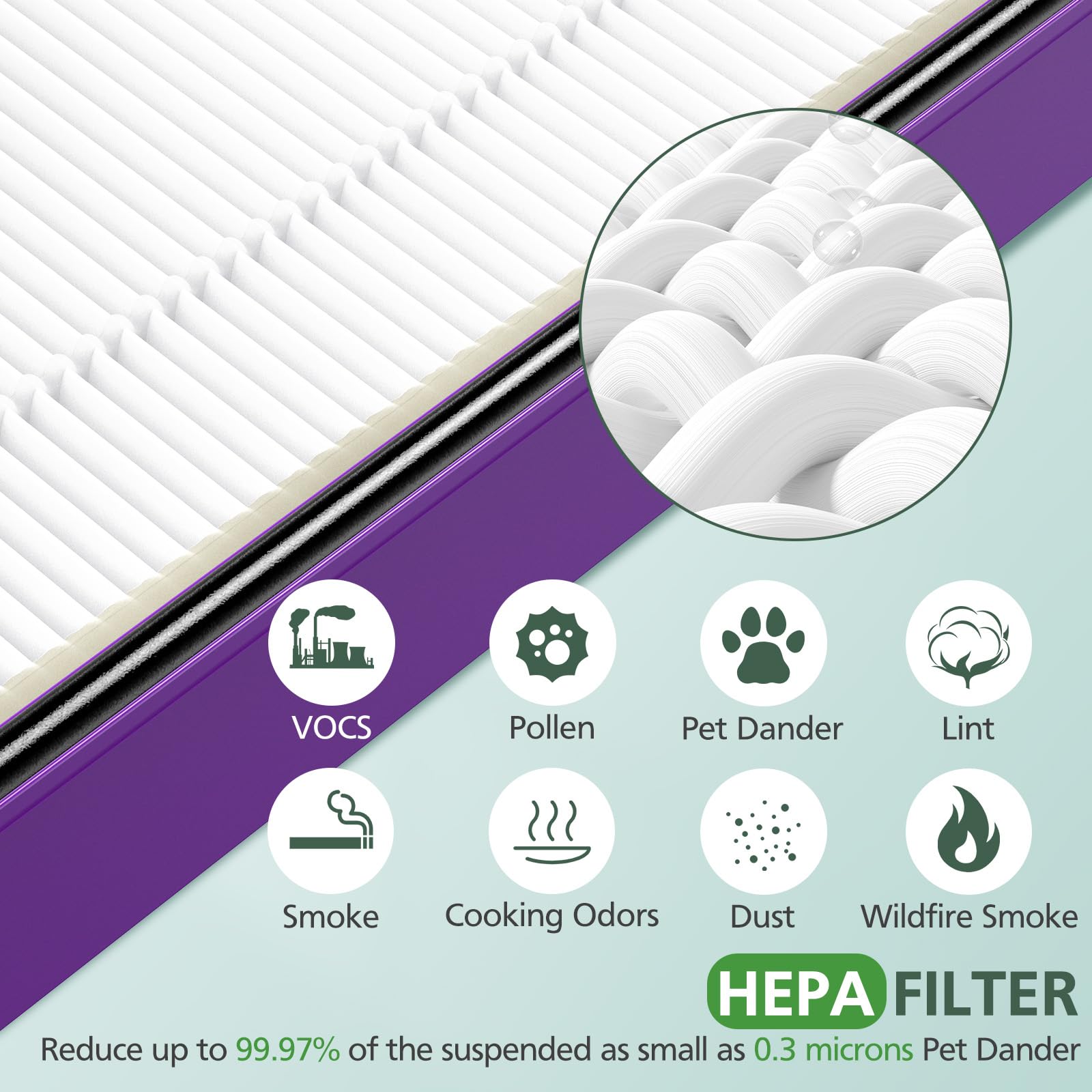 isinlive HAPF300AP compatible with Holmes units for broader use