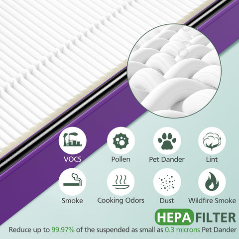 isinlive HAPF300AP compatible with Holmes units for broader use